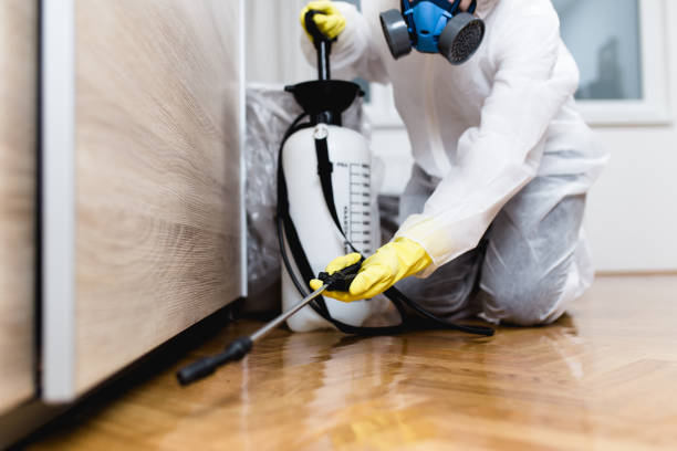 Best Pest Control Treatment  in Mount Hope, WV