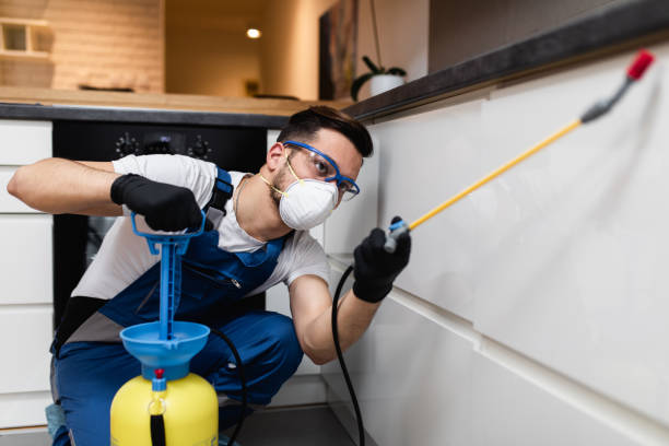 Best Mosquito Control Services  in Mount Hope, WV