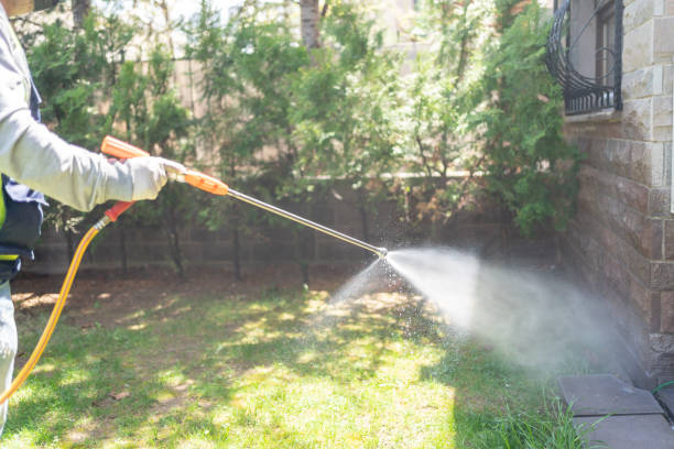 Best Mosquito Control Services  in Mount Hope, WV