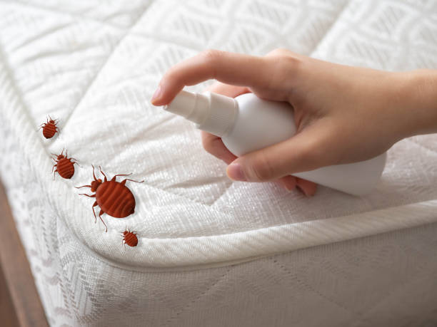 Best Residential Pest Control  in Mount Hope, WV