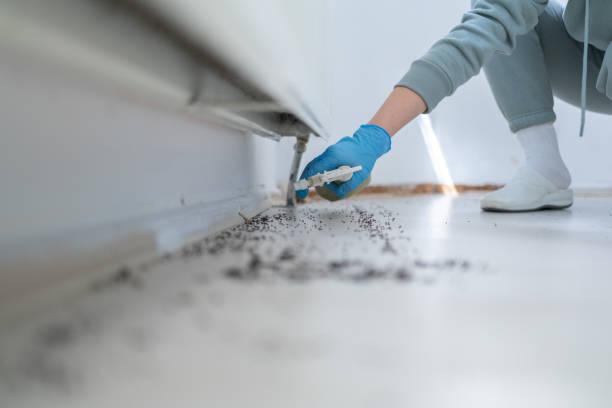 Best Best Pest Control Companies  in Mount Hope, WV